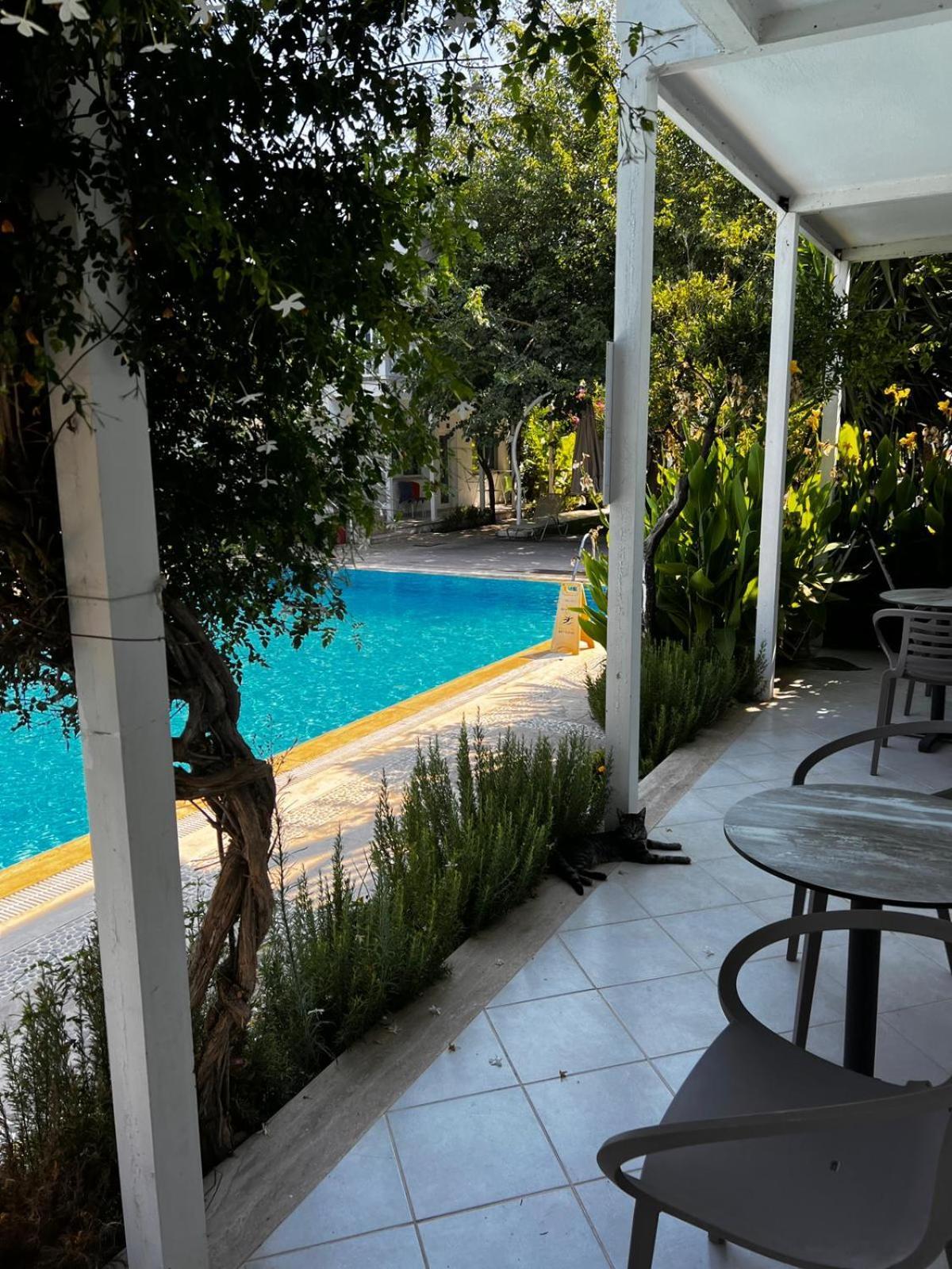 Hotel Gümüşlük Szoba fotó