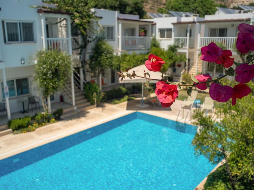Hotel Gümüşlük Kültér fotó